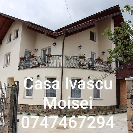 ホテル Casa Ivascu モイセイ エクステリア 写真